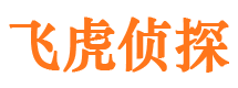 甘泉外遇出轨调查取证